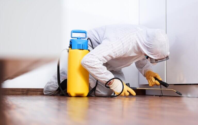 Kammerjäger in Hamburg in einer Küche