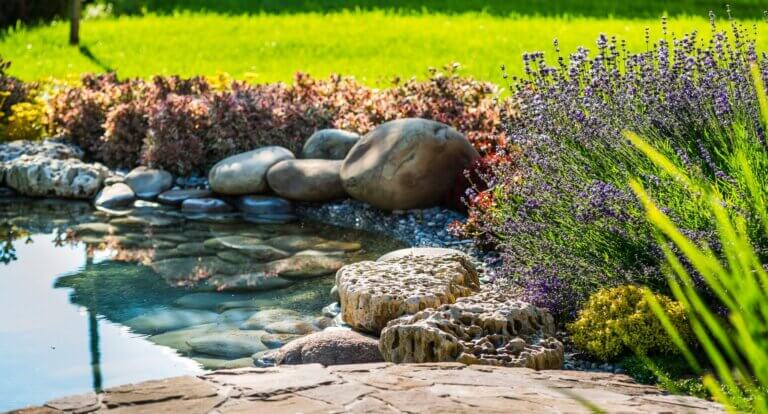 Teich in einem Garten in Buchholz in der Nordheide