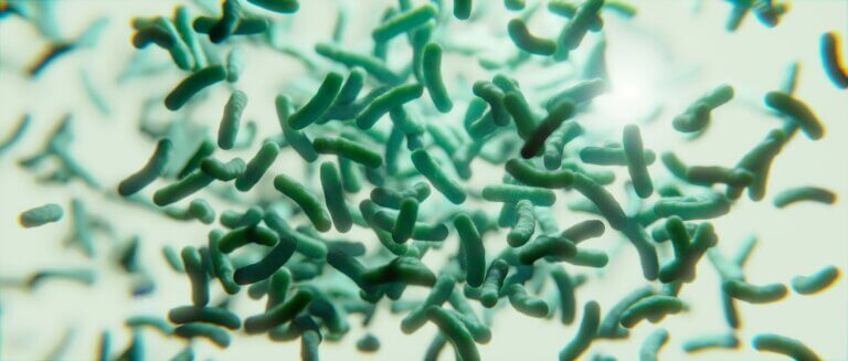 Schwebende Bakterienkultur welche stark vergrößert ist