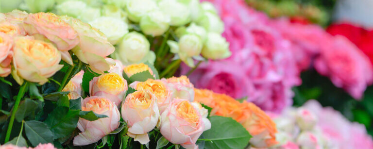Blumenstudio