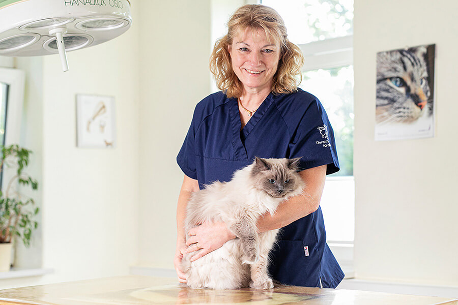Tierarzt im Kreis Schleswig-Rendsburg | Mit langjähriger Erfahrung und einem feinen Gespür für tierische Patienten sorgt Dr. Kerstin Genz für eine einfühlsame Behandlung – hier bei einer Untersuchung einer Ragdoll-Katze im Behandlungsraum der Praxis