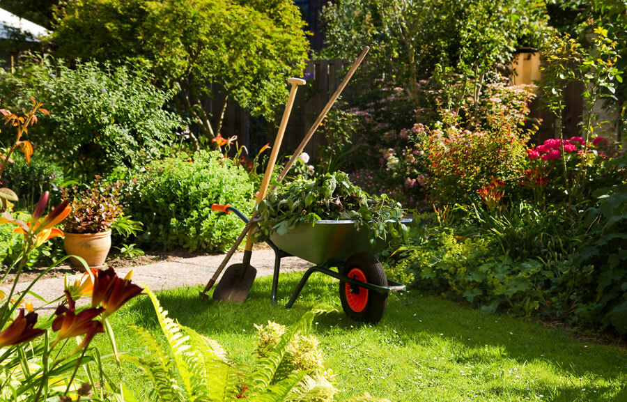 Gartenpflege in Aurich