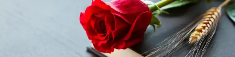 Bestattungsvorsorge Bergstedt | Heute für morgen vorsorgen