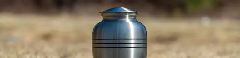 Ascheausstreuung im Garten Bremen | So findest Du Deine letzte Ruhestätte im Grünen