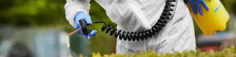 Schädlingsbekämpfung Hüllhorst | Kammerjäger versprüht Gift: Fokus auf Sprüher