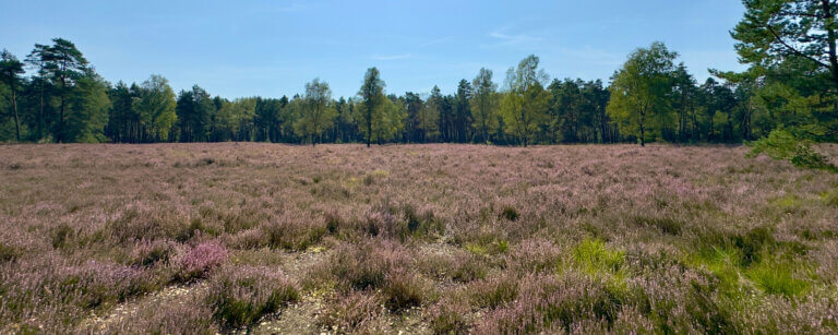 Beispielfoto Dienstleistungsbüro Bad Fallingbostel