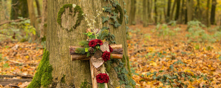 Waldbestattungen im FriedWald Gronenburg bei Altenberge