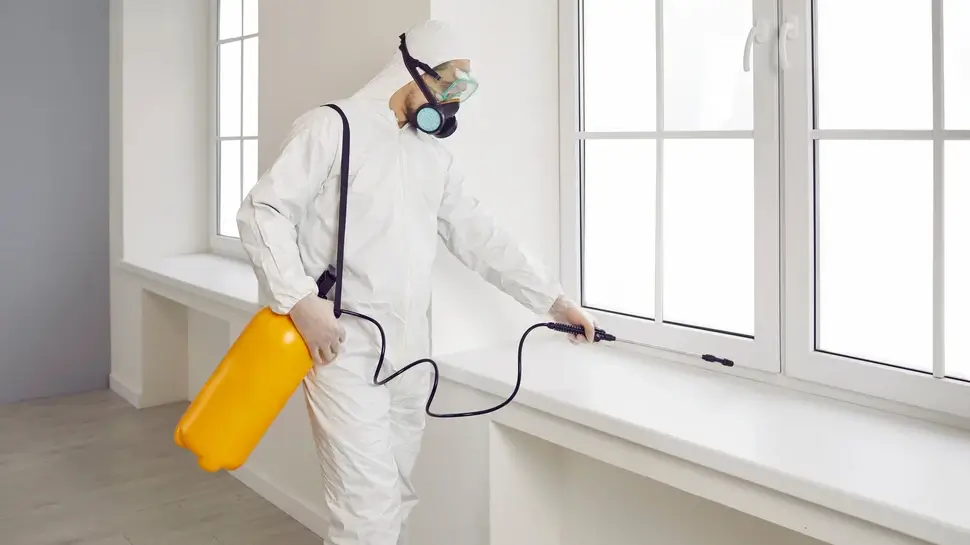 Pest control worker inside the house. Exterminator wearing white protective suit, mask and goggles holding yellow sprayer bottle and spraying insecticide over window sill in modern living room at home Schädlingsbekämpfung Hatten | Kammerjäger besprüht Fenster