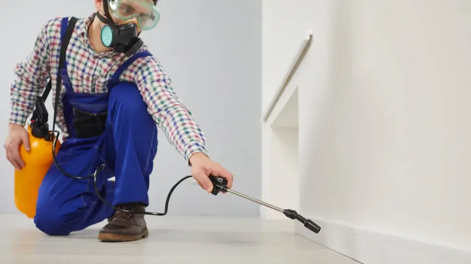 Worker of pest control service during sanitary treatment of house with insecticidal chemical sprays. Man in goggles and respirator sprays poison on floor of apartment from large spray bottle. Schädlingsbekämpfung Neuenkirchen | Mann versprüht Gift
