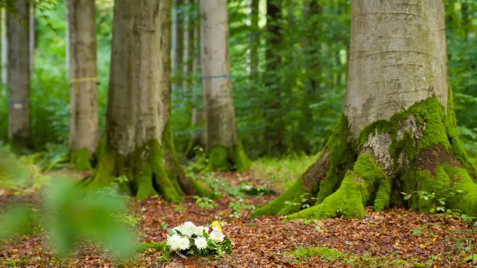 Ruheforst Waldbestattung Großenkneten | Ruheforst, Blumenkranz