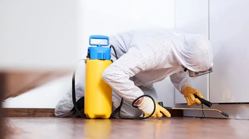 Schädlingsbekämpfung und Rattenbekämpfung Lindern (Oldenburg) | Schädlingsbekämpfer in der Küche Schädlingsbekämpfung und Rattenbekämpfung Lindern (Oldenburg) | Schädlingsbekämpfer in der Küche