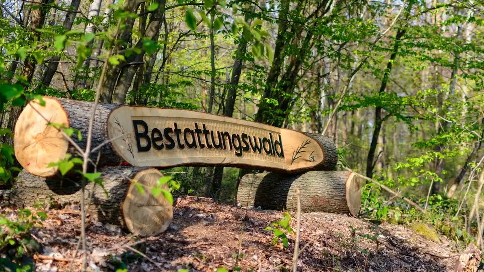Eingang zum Friedwald Waldbestattung Garrel | Baumstamm mit Inschrift "Bestattungswald"