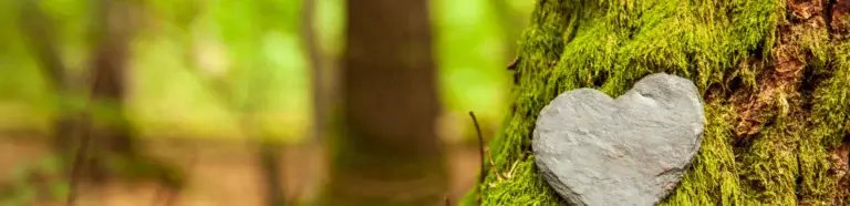 Waldbestattung Großenkneten | Granitherz auf Baumwurzel