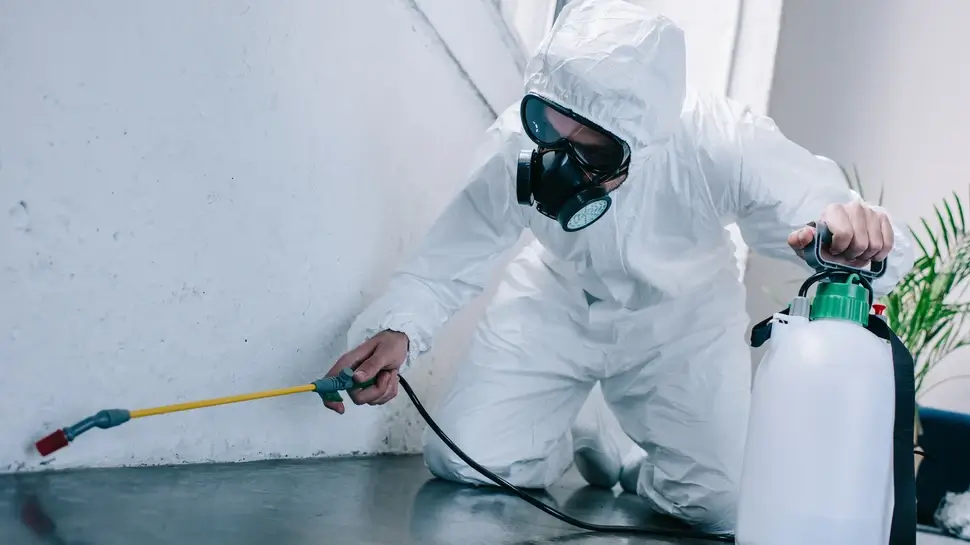 pest control worker spraying pesticides on floor at home Schädlingsbekämpfung Hüllhorst | Kammerjäger versprüht Gift bei Wand