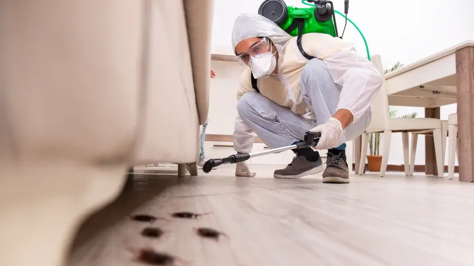 Pest control contractor working in the flat Schädlingsbekämpfung Hüllhorst | Kammerjäger versprüht Gift unterm Bett davor Schaben