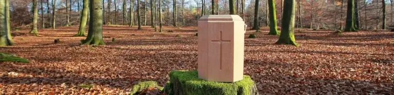 Waldbestattung Langelsheim | Urne auf Baumstumpf