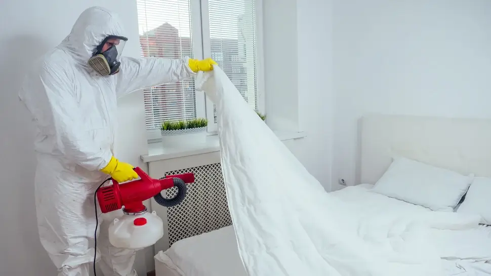 pest control worker lying on floor and spraying pesticides in bedroom Schädlingsbekämpfung Jever | Kammerjäger sprüht Gift unter Bettdecke