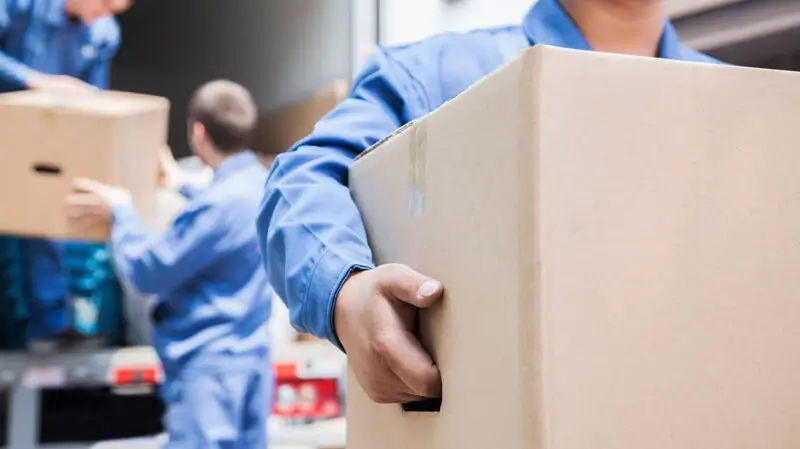 Umzugsunternehmen Umzüge Neustadt | Kartons werden in Nahaufnahme getragen