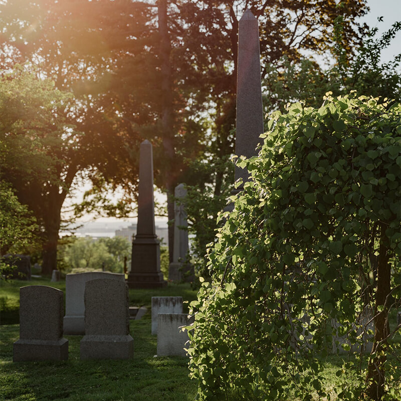 Bestattungsvorsorge in Sehnde