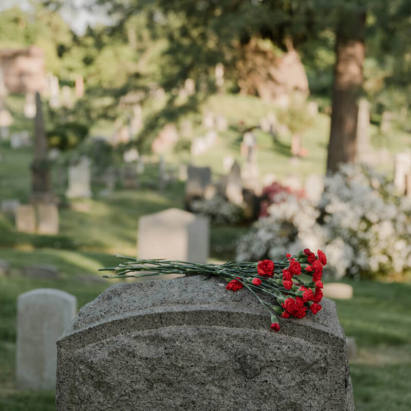 Bestattungsvorsorge in Sehnde