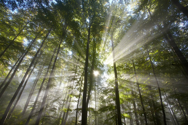 Bestattungsvorsorge in Haren