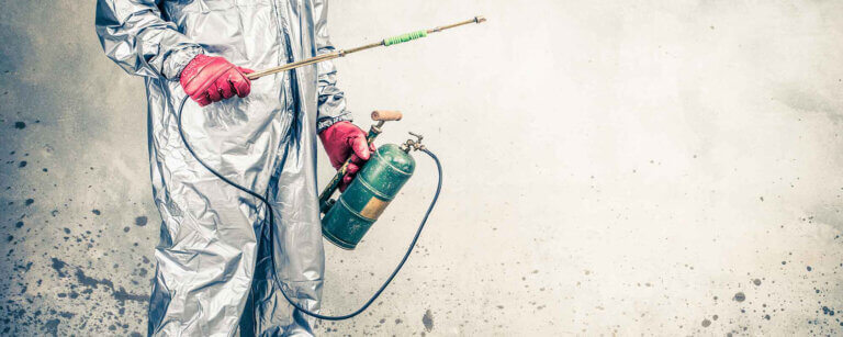 Schädlingsbekämpfung in Husum