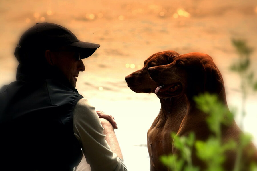 Tierbestatter Bonn | Zwei Hunde schauen ihren Besitzer glücklich im Sonnenuntergang am Wasser an
