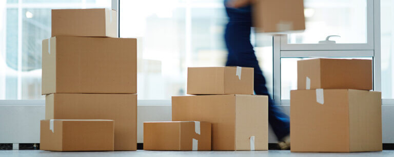 Umzugsunternehmen für Eutin und Umgebung | Ein Speditionsmitarbeiter transportiert Umzugskartons