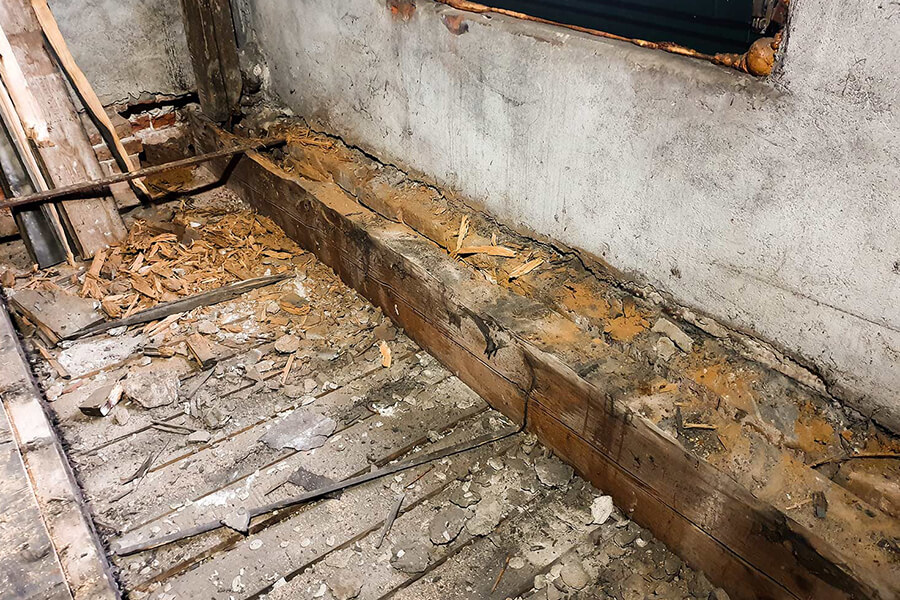 Holzschutz Hamburg | Schwammbefall zerstört die Holzstruktur von innen – Bojarzin saniert fachgerecht