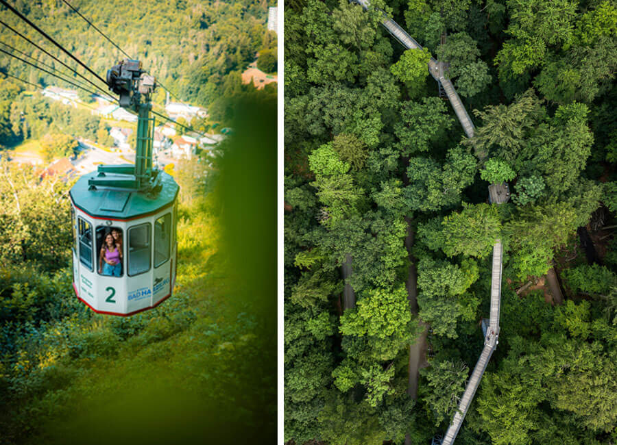 Urlaub mit Sole Therme und Wandern in Bad Harzburg | Links: Die Burgberg-Seilbahn Bad Harzburg 
Rechts: Baumwipfelpfad in Bad Harzburg
