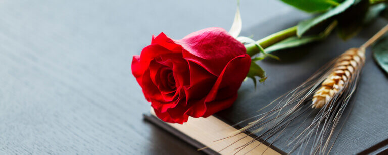 Bestattungsvorsorge in Clausthal-Zellerfeld | Rote Rose und Weizenhalm auf einem Buch, Symbol für Abschied und Erinnerung