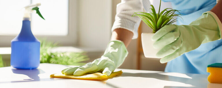 Haushaltshilfe Leer | Reinigung eines Wohnzimmertisches mit Handschuhen und umweltfreundlichen Reinigungsmitteln