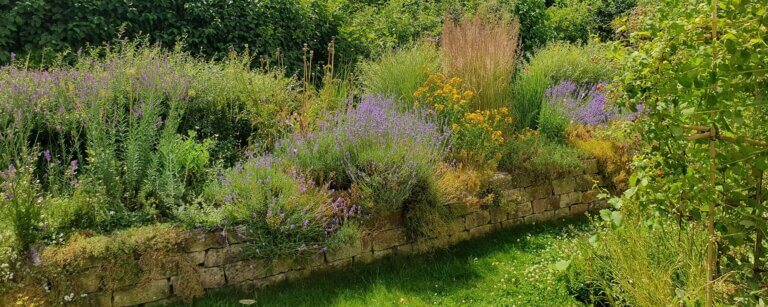 Insektenfreundliche Gartengestaltung in Göttingen und Umgebung | Ein naturnah gestaltetes Beet bietet ganzjährig Nahrung und Lebensraum für Insekten und setzt farbenfrohe Akzente im Garten