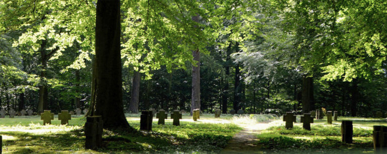 Alternative Bestattungsformen in Elze und Umgebung | Blick auf einen Waldfriedhof
