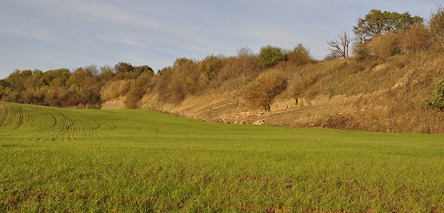 Bauschuttaufbereitung Höxter | Rekultivierte Steinbruchflächen bieten neue Lebensräume für Pflanzen und Tiere und tragen zur ökologischen Nachhaltigkeit bei. Ein Beispiel für verantwortungsvollen Umgang mit natürlichen Ressourcen