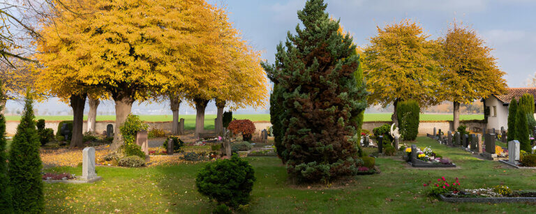 Bestattungsvorsorge Gronau (Leine) | Ein Ort der Ruhe und Erinnerung – der Friedhof in Gronau (Leine) bietet vielfältige Möglichkeiten der letzten Ruhe