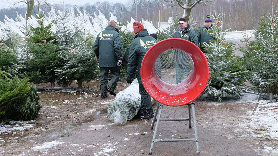 Weihnachtsbäume in Rinteln | Das eingespielte Team der Brands Hof GbR kümmert sich auf dem winterlichen Verkaufsplatz um jeden Kundenwunsch – vom Aussuchen bis zum fertig verpackten Baum