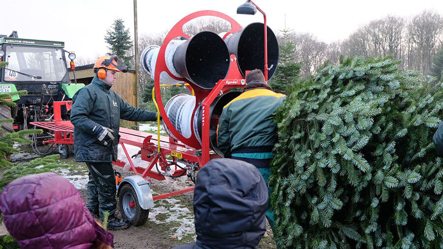 Weihnachtsbäume in Rinteln | Mit der Netzmaschine wird der frisch geschlagene Weihnachtsbaum direkt vor Ort transportsicher verpackt – so bleiben die Zweige beim Heimtransport unbeschädigt