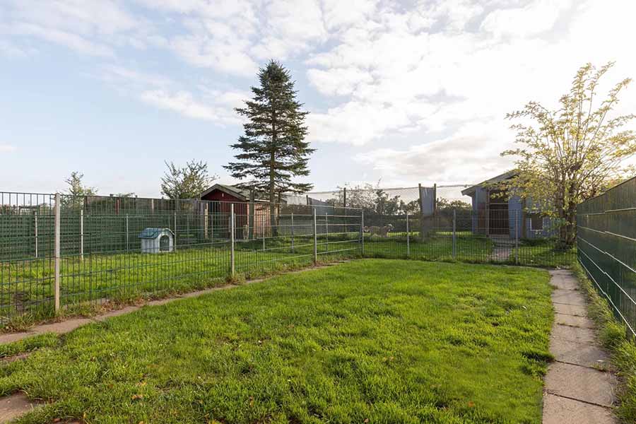 Tierpension Flensburg | Weitläufige Freiläufe statt enger Boxen sorgen im Hunde- und Katzenparadies Winzer für artgerechte Bewegung