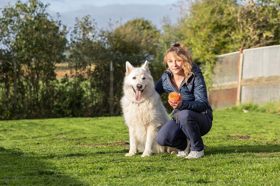 Tierpension Flensburg | Liebevolle Zuwendung und persönlicher Kontakt gehören im Hunde- und Katzenparadies Winzer zum Alltag