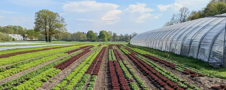 Microgreens Bielefeld | Plögers Kresse und Salate Bielefeld Anbaufläche